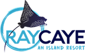 Ray Caye